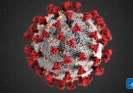 Koronavirus: nyeste anbefalinger om større møter